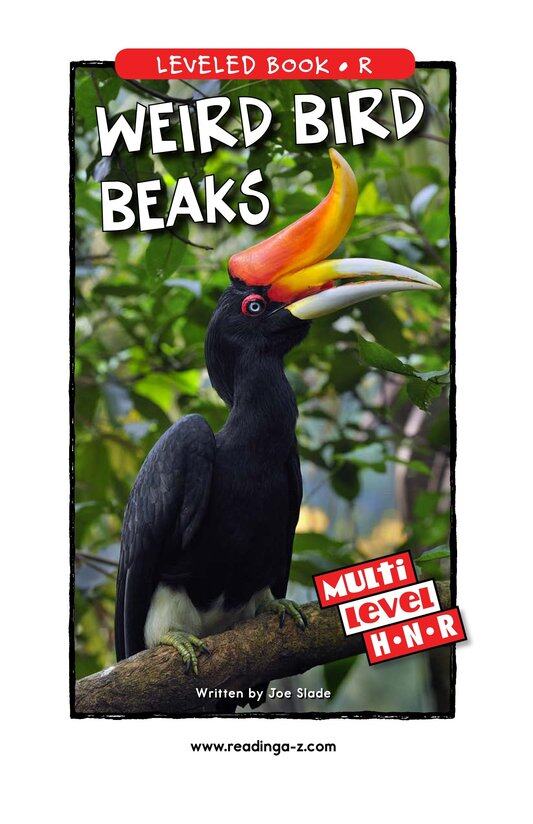 Weird Bird Beaks绘本故事第2页