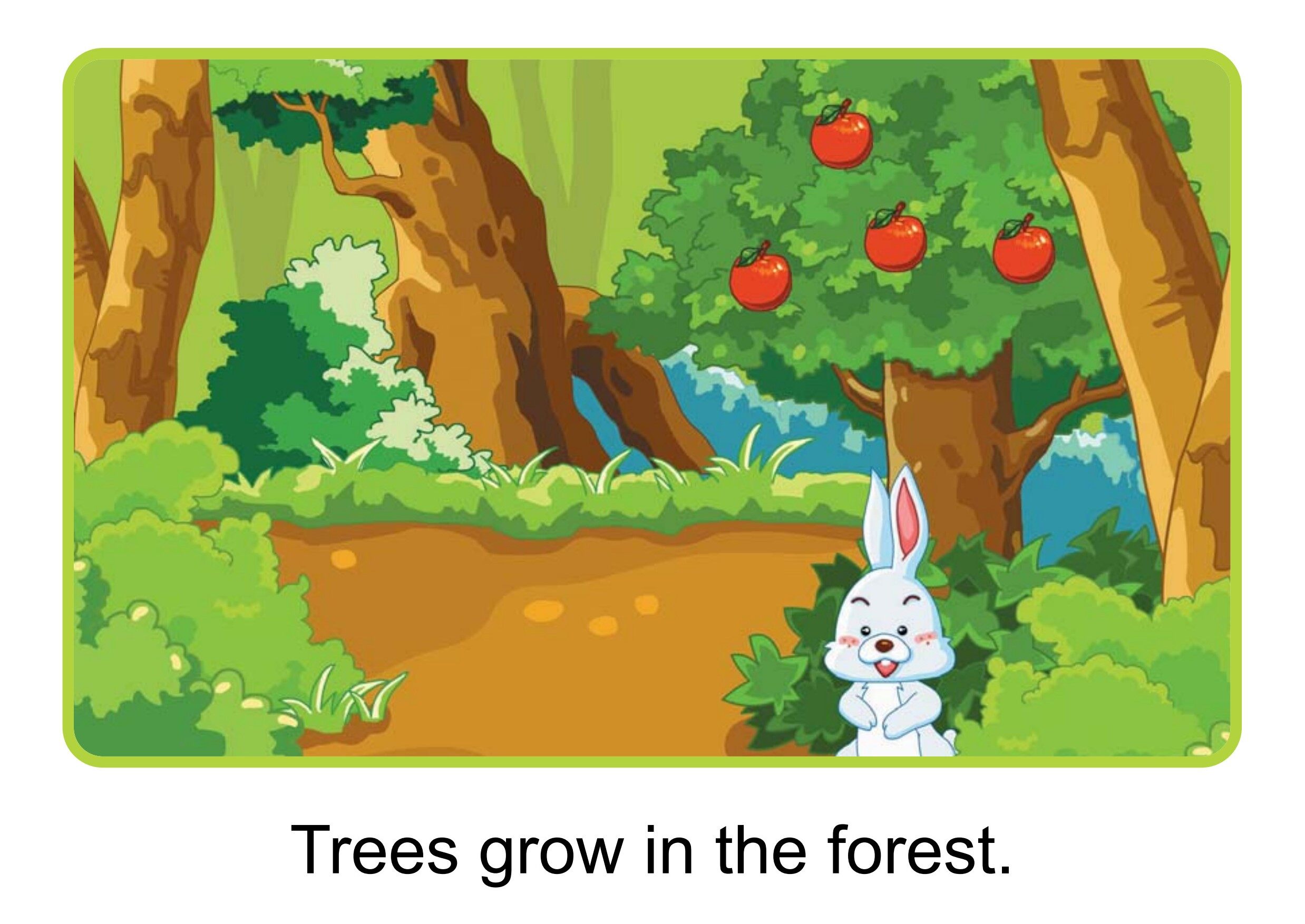 Where?绘本故事第5页