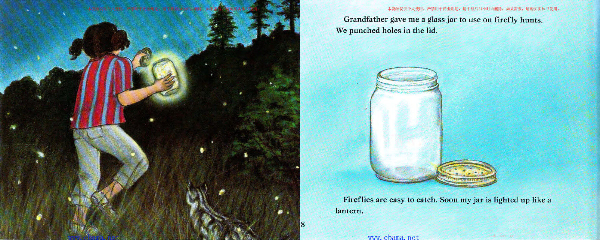 Fireflies in the Night绘本故事第5页