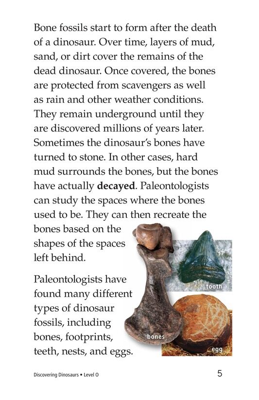 Discovering Dinosaurs绘本故事第4页