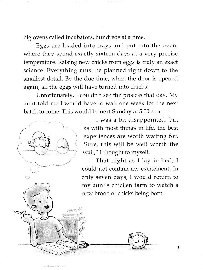 Chicks Hatching(Ⅰ)绘本故事第3页