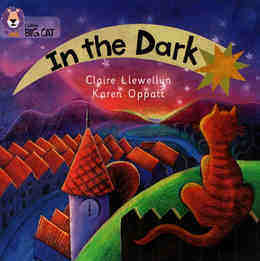 In the Dark
