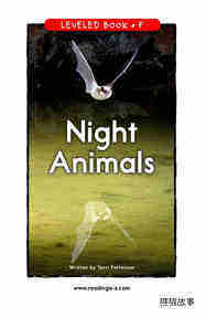 Night Animals