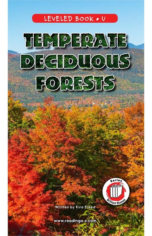 Temperate Deciduous Forests绘本故事第2页