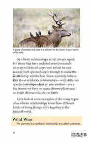 Symbiotic Wildlife绘本故事第5页