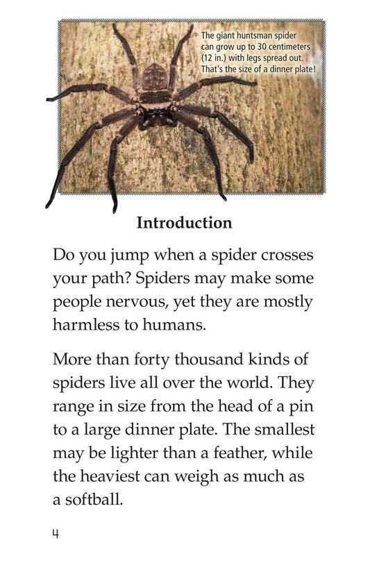 Spiders绘本故事第3页