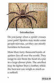 Spiders绘本故事第3页