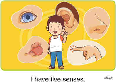 My Five Senses绘本故事第2页