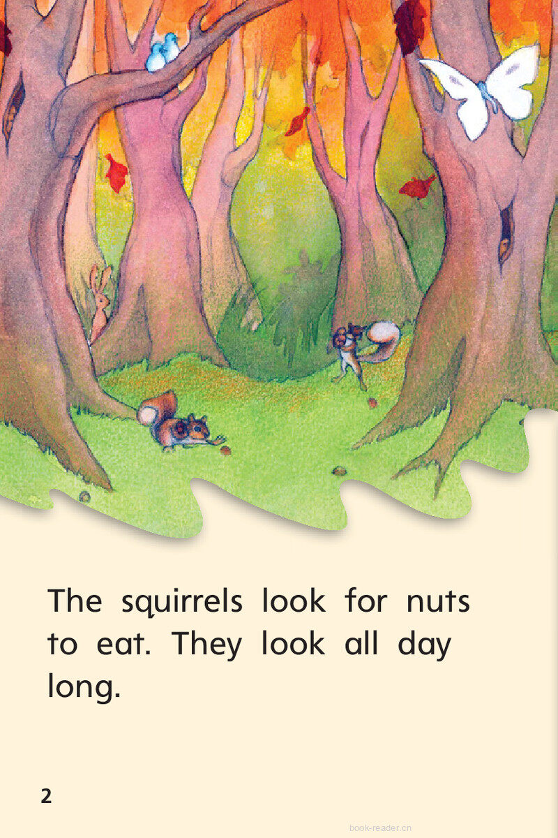 G1 On U2W4 Squirrels Help绘本故事第4页