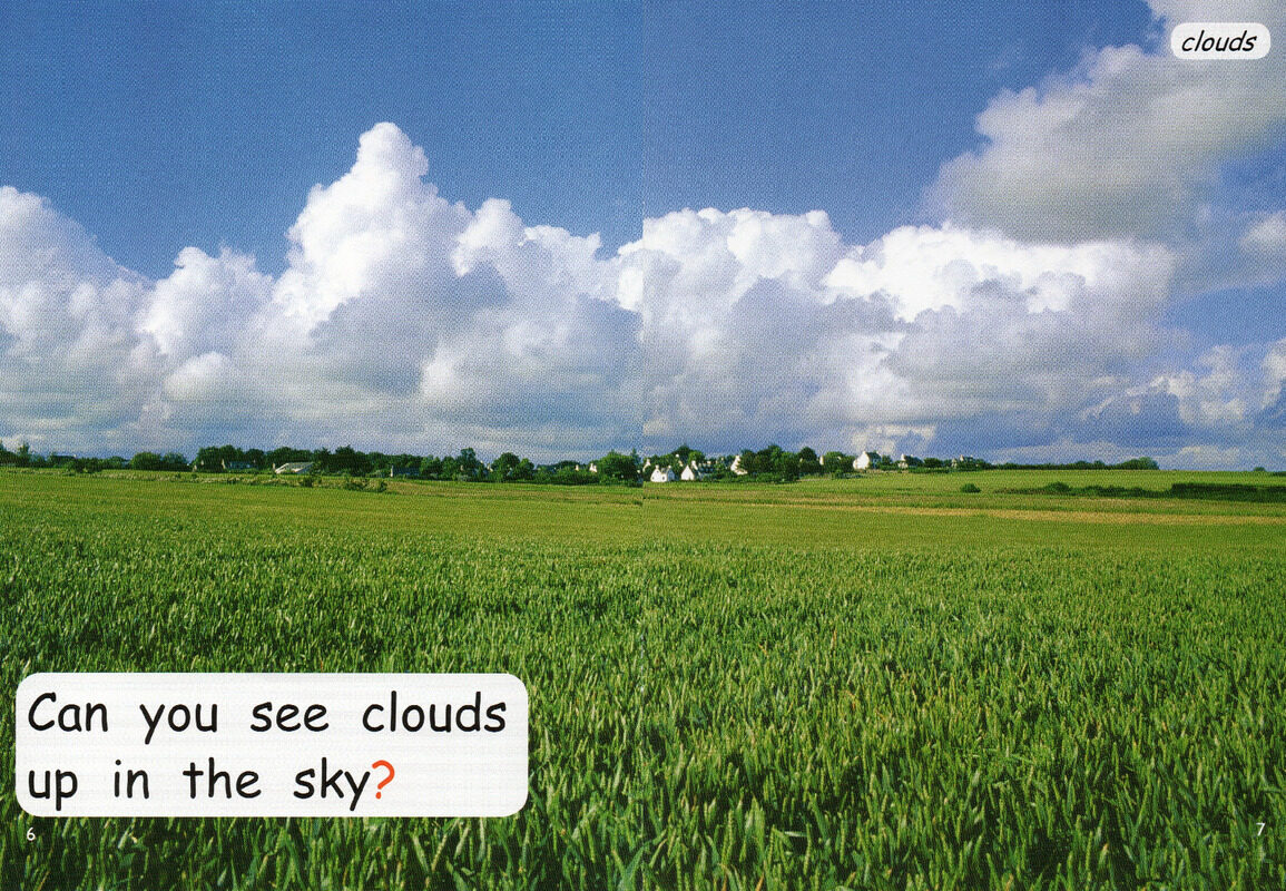 what is in the sky绘本故事第5页