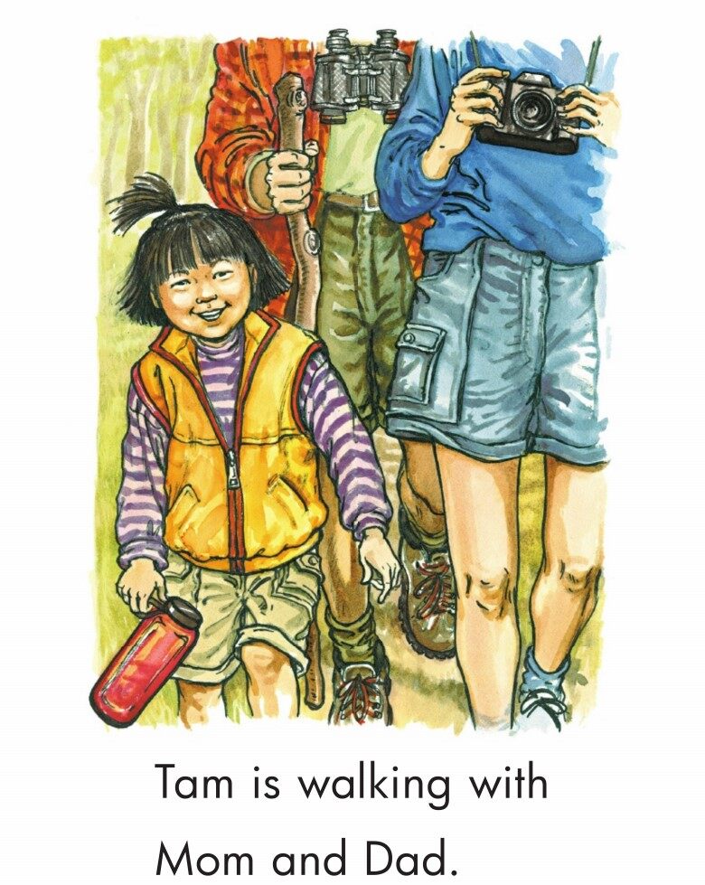 A Walk in the Forest绘本故事第3页