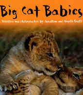 Big Cat Babies