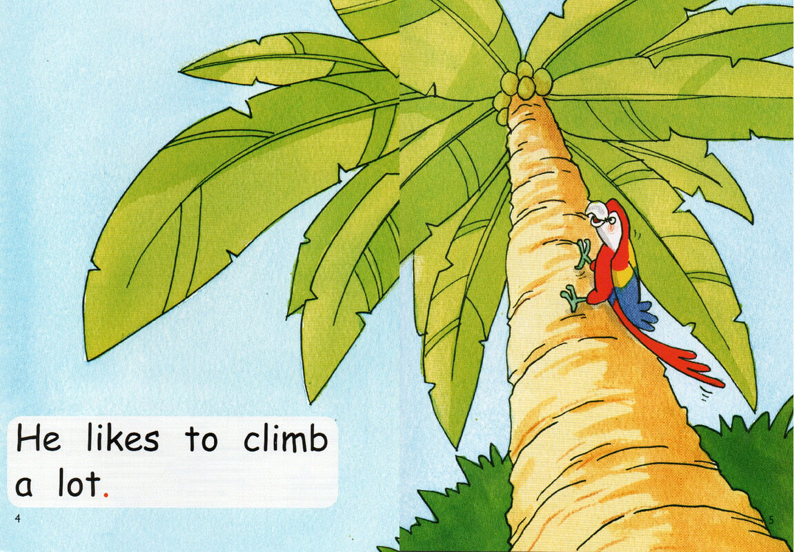 stickybeak the parrot绘本故事第4页