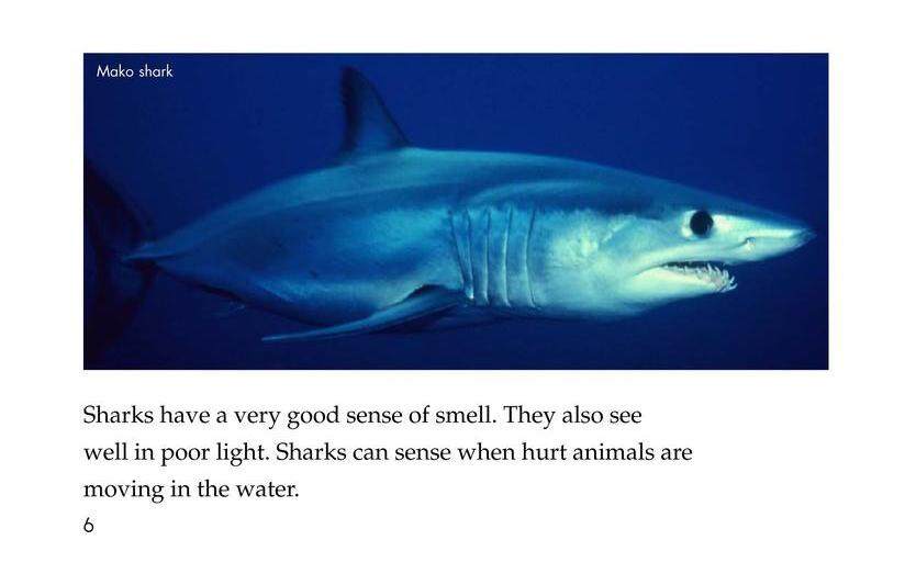 Sharks绘本故事第5页