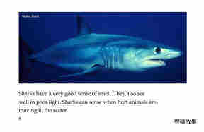 Sharks绘本故事第5页