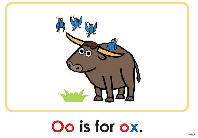 Letter Oo绘本故事第4页