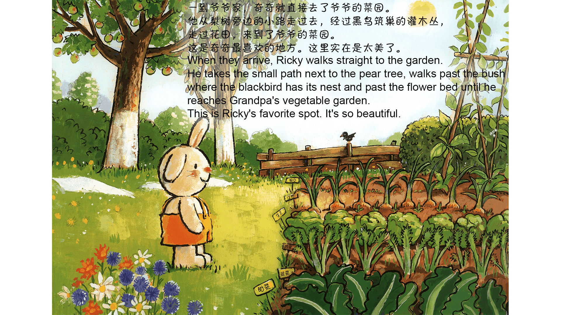 爷爷的菜园绘本故事第5页