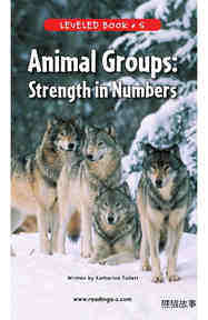 Animal Groups Strength in Numbers