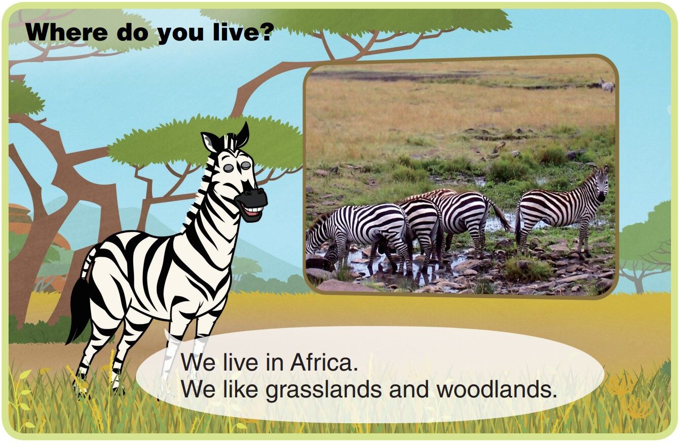 Zebra绘本故事第4页