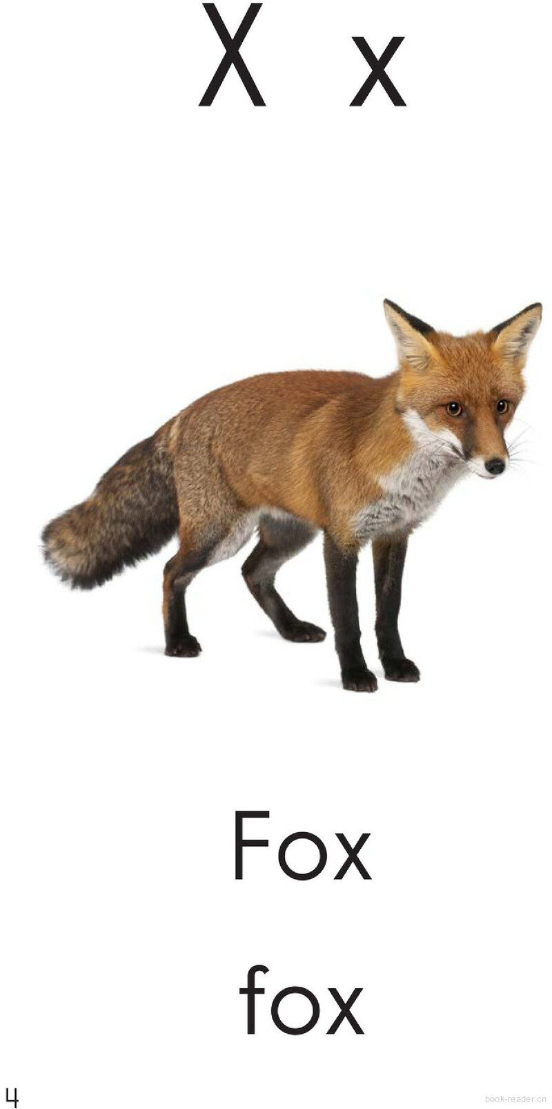 Letter X绘本故事第4页
