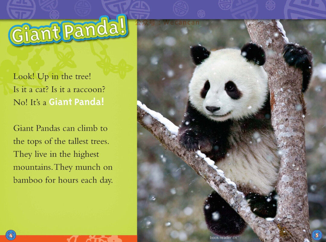 Pandas绘本故事第3页