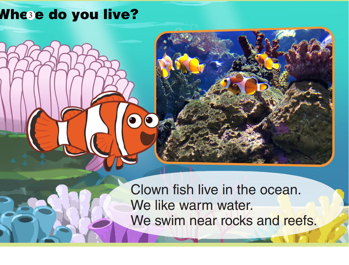 Clown Fish绘本故事第4页