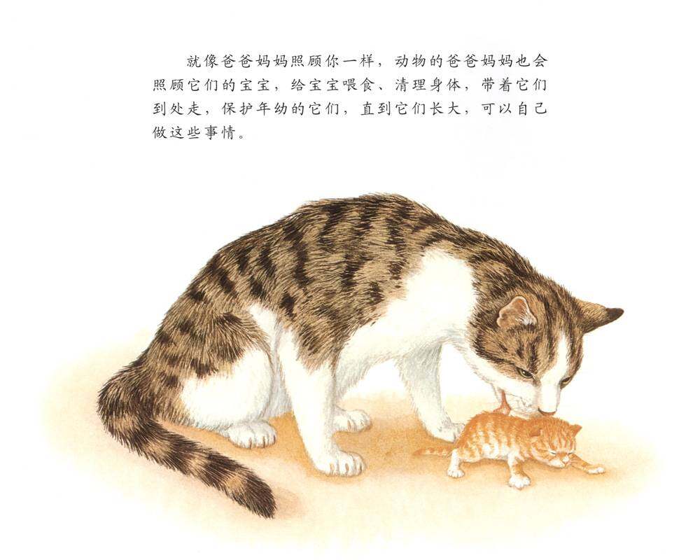 动物宝宝怎么保护自己绘本故事第3页