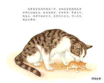 动物宝宝怎么保护自己绘本故事第3页