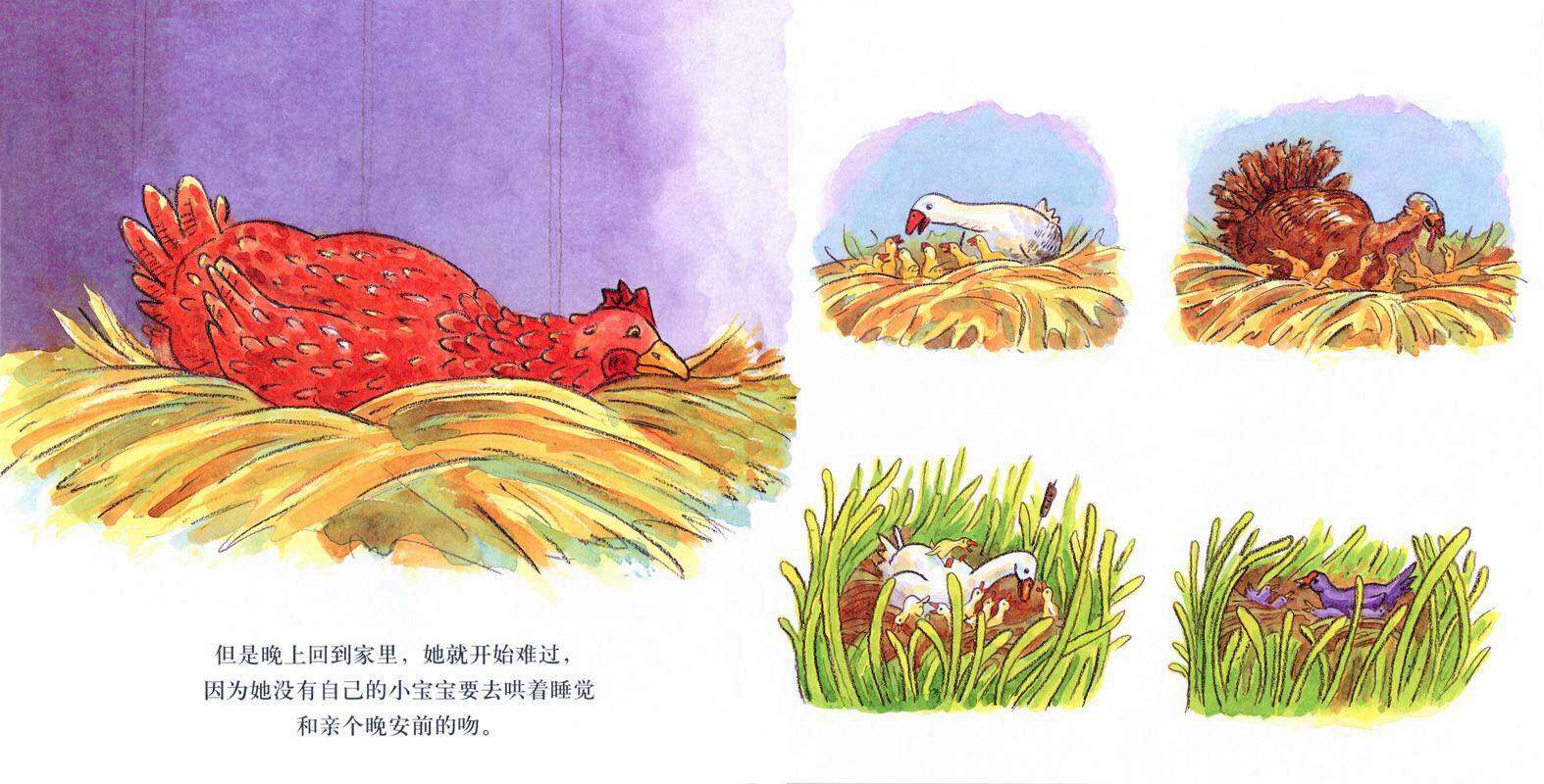 大红母鸡和捡来的蛋绘本故事第4页