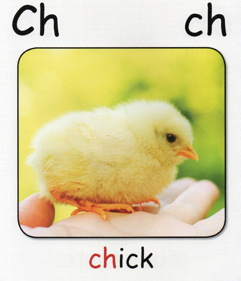 ch绘本故事第4页