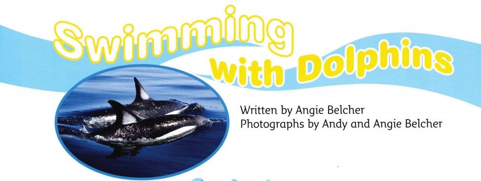 Swimming with Dolphins绘本故事第2页