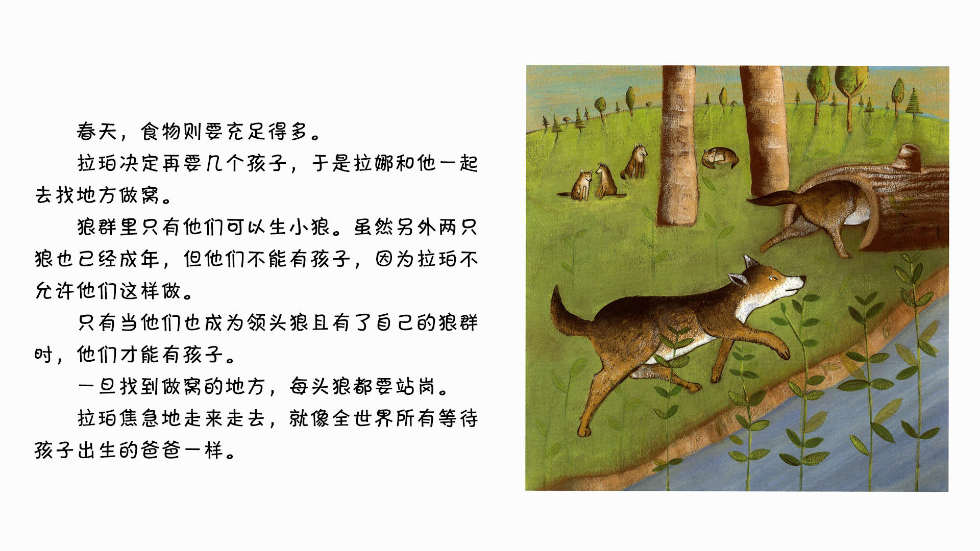 狼绘本故事第5页
