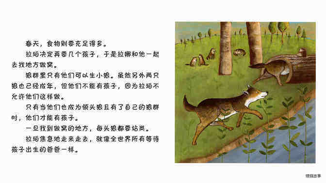 狼绘本故事第5页