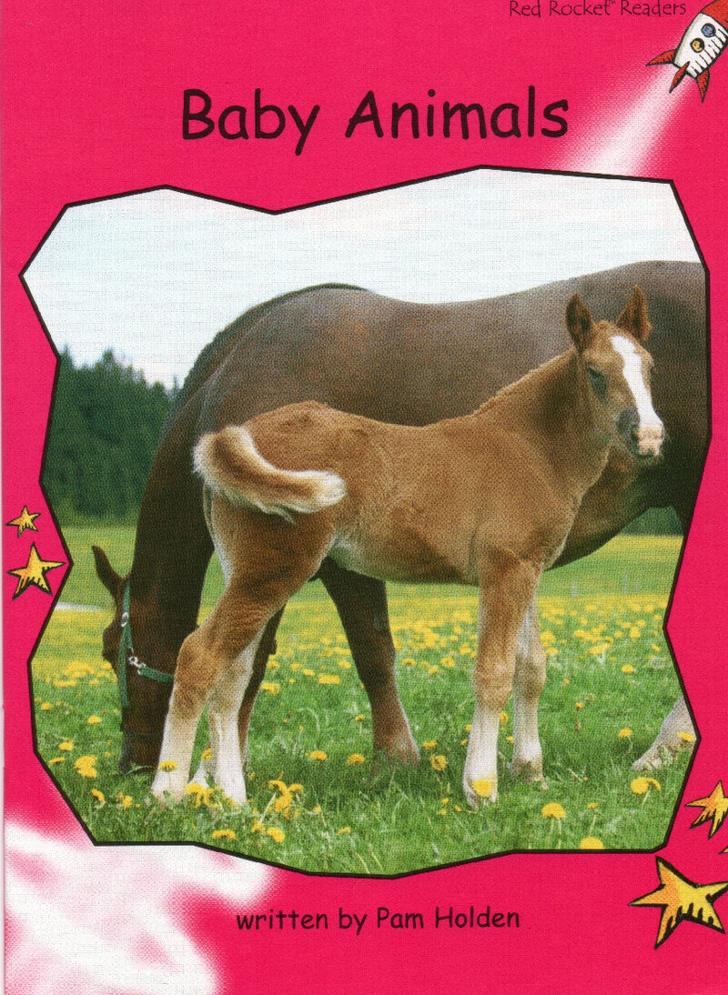 baby animals绘本故事第2页