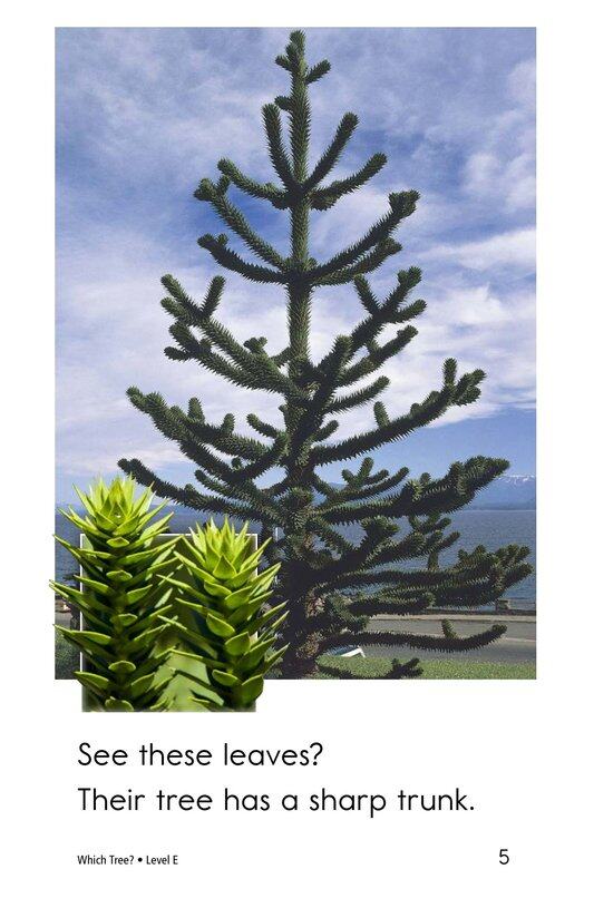 Which Tree绘本故事第5页