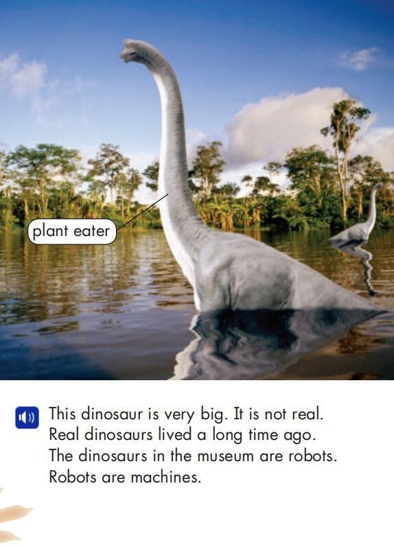 Dinosaur Museum绘本故事第4页