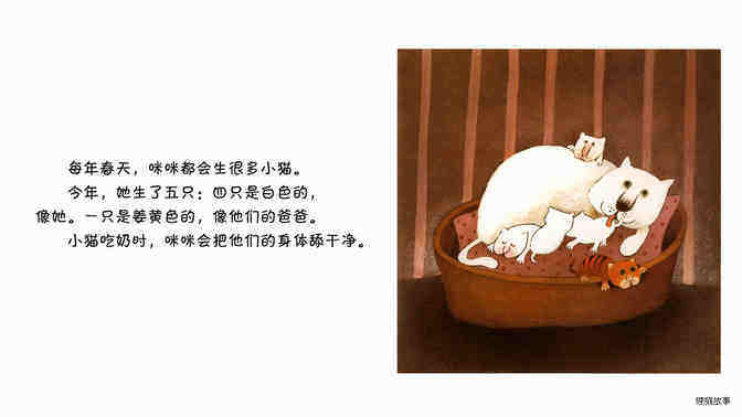 猫绘本故事第3页