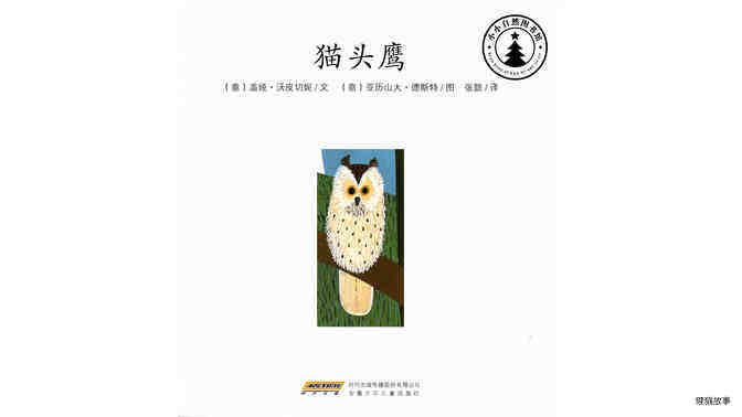 猫头鹰绘本故事第2页