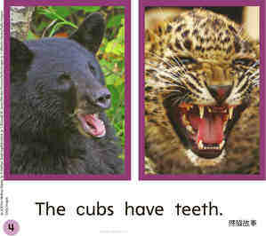 GK Approach U07W1 Two Cubs绘本故事第5页