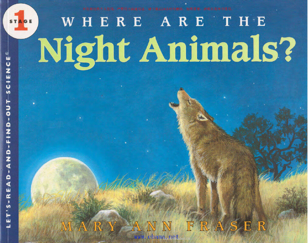 Where Are the Night Animals绘本故事第2页