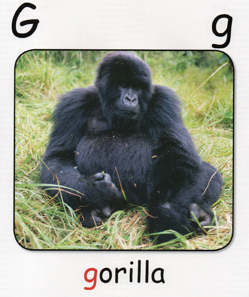 G绘本故事第4页