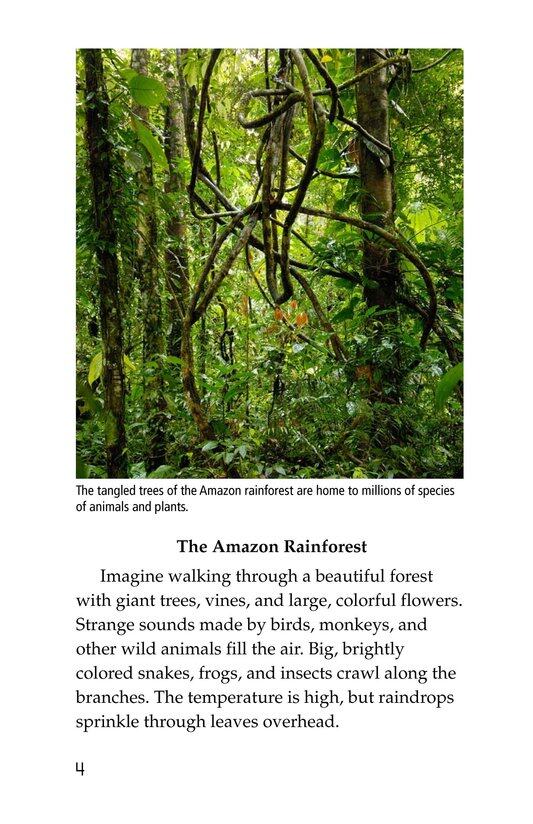 More Valuable Than Gold绘本故事第3页