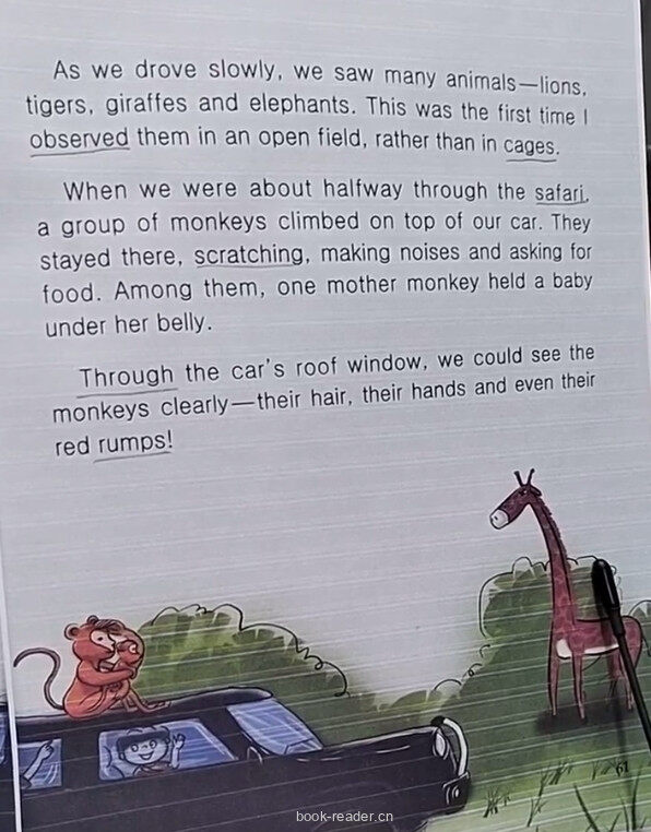 African Safari绘本故事第3页