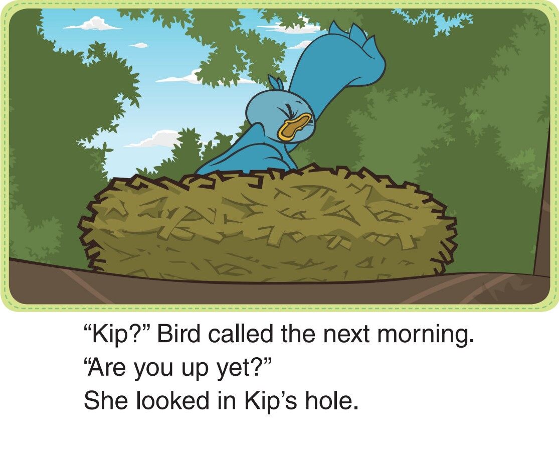 The Big Race绘本故事第3页