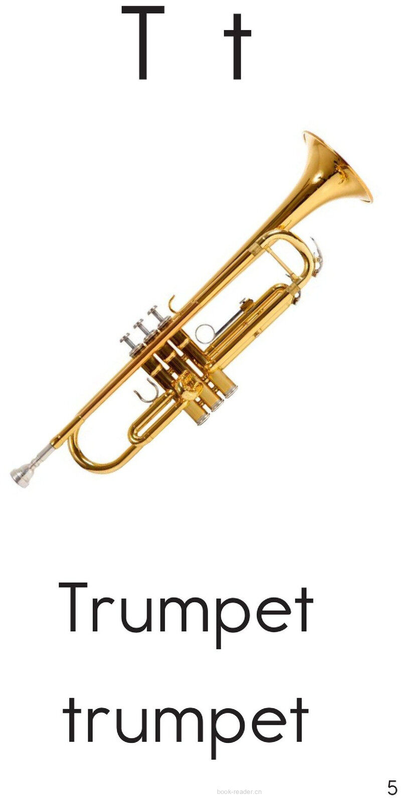 Letter T绘本故事第5页