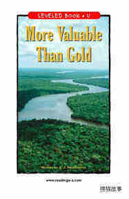 More Valuable Than Gold