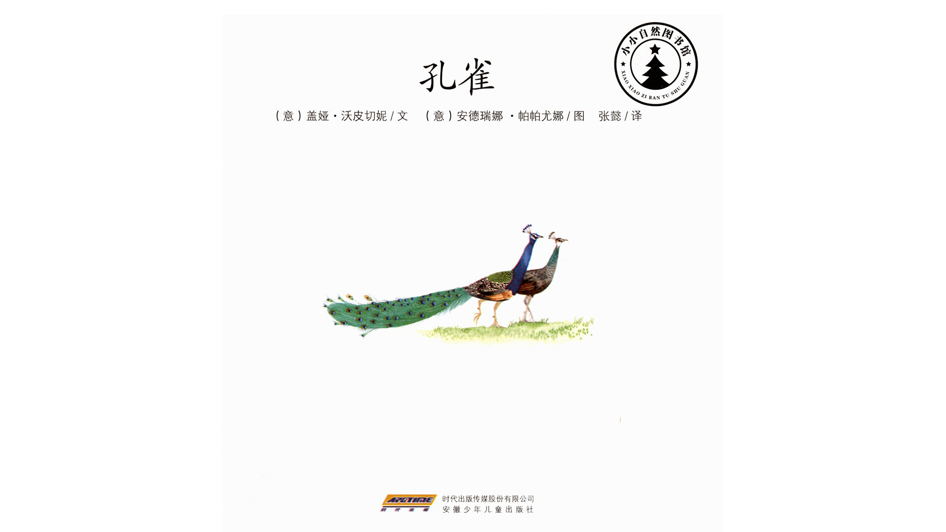 孔雀绘本故事第2页