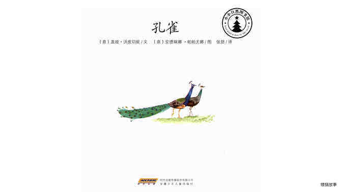 孔雀绘本故事第2页