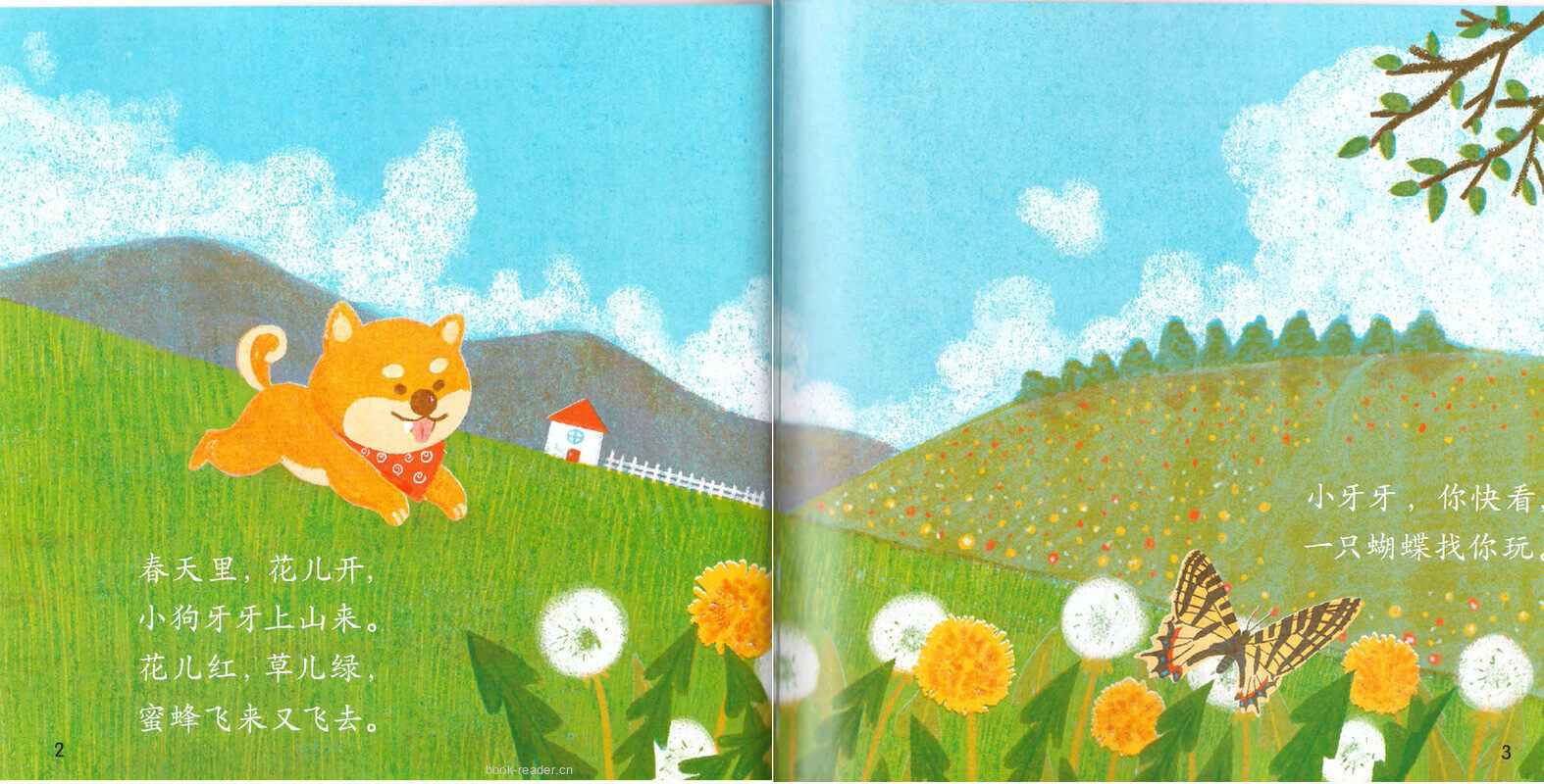 小狗牙牙找蝴蝶绘本故事第3页