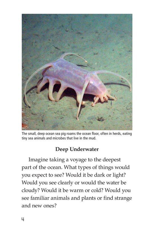 Deep in the Ocean绘本故事第3页